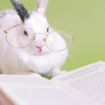 De belangrijkste beurswijsheden van Warren Buffett
