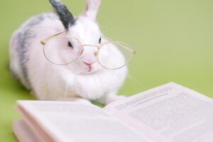 De belangrijkste beurswijsheden van Warren Buffett